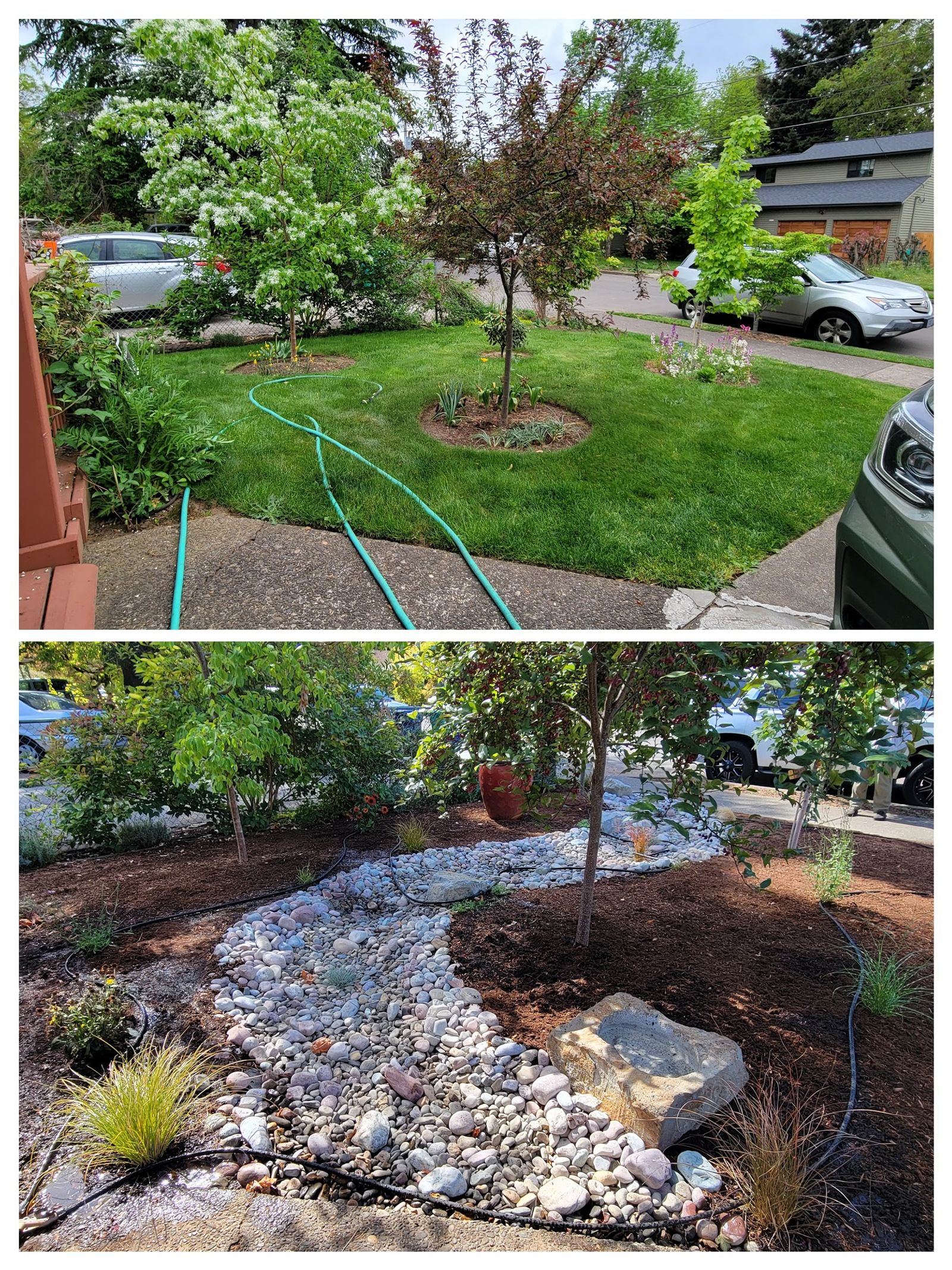 yard makeover