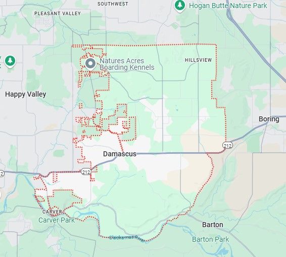 Damascus service area map