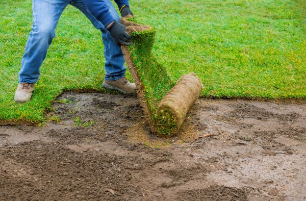 Your Complete Guide to New Lawn Installation: What Every Homeowner Should Know