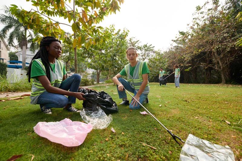 Landscape Clean-up & Brush Clearing