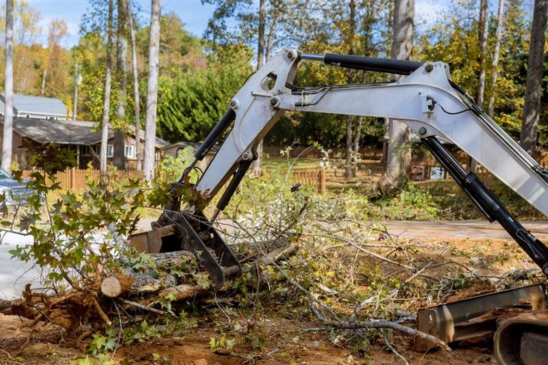 Tree Removal