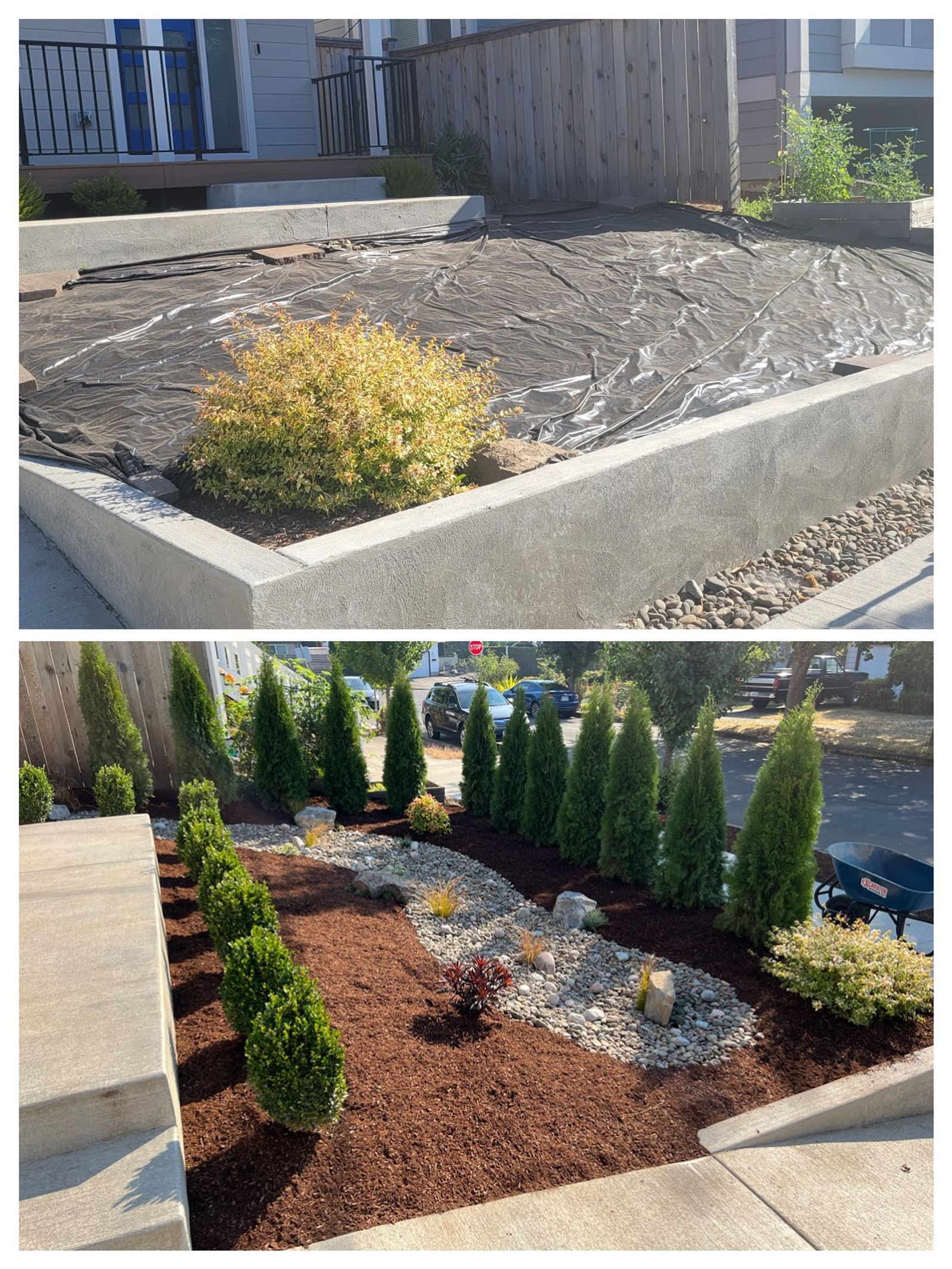 Dry Rock Bed & Planting