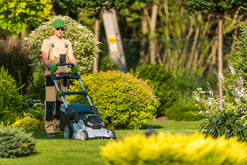 Lawn Installation
