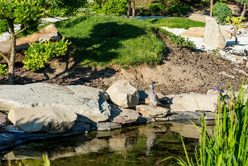Rain Garden Installs