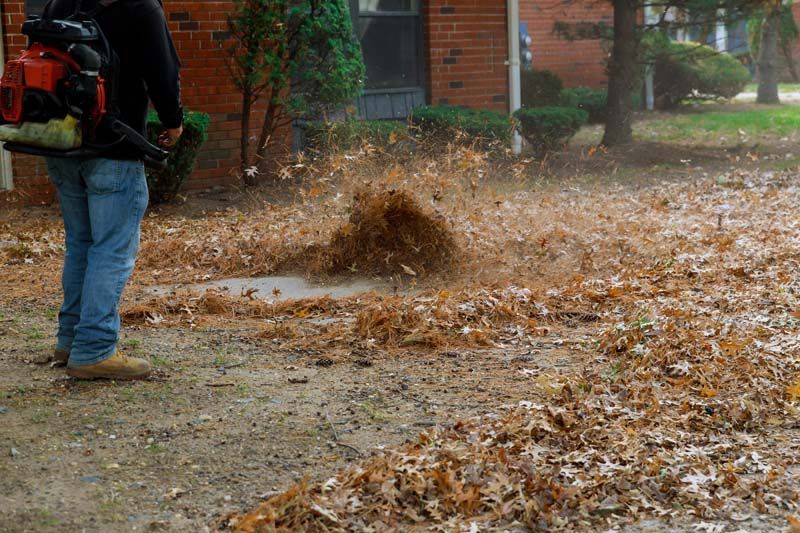 Debris & Leaf Removal