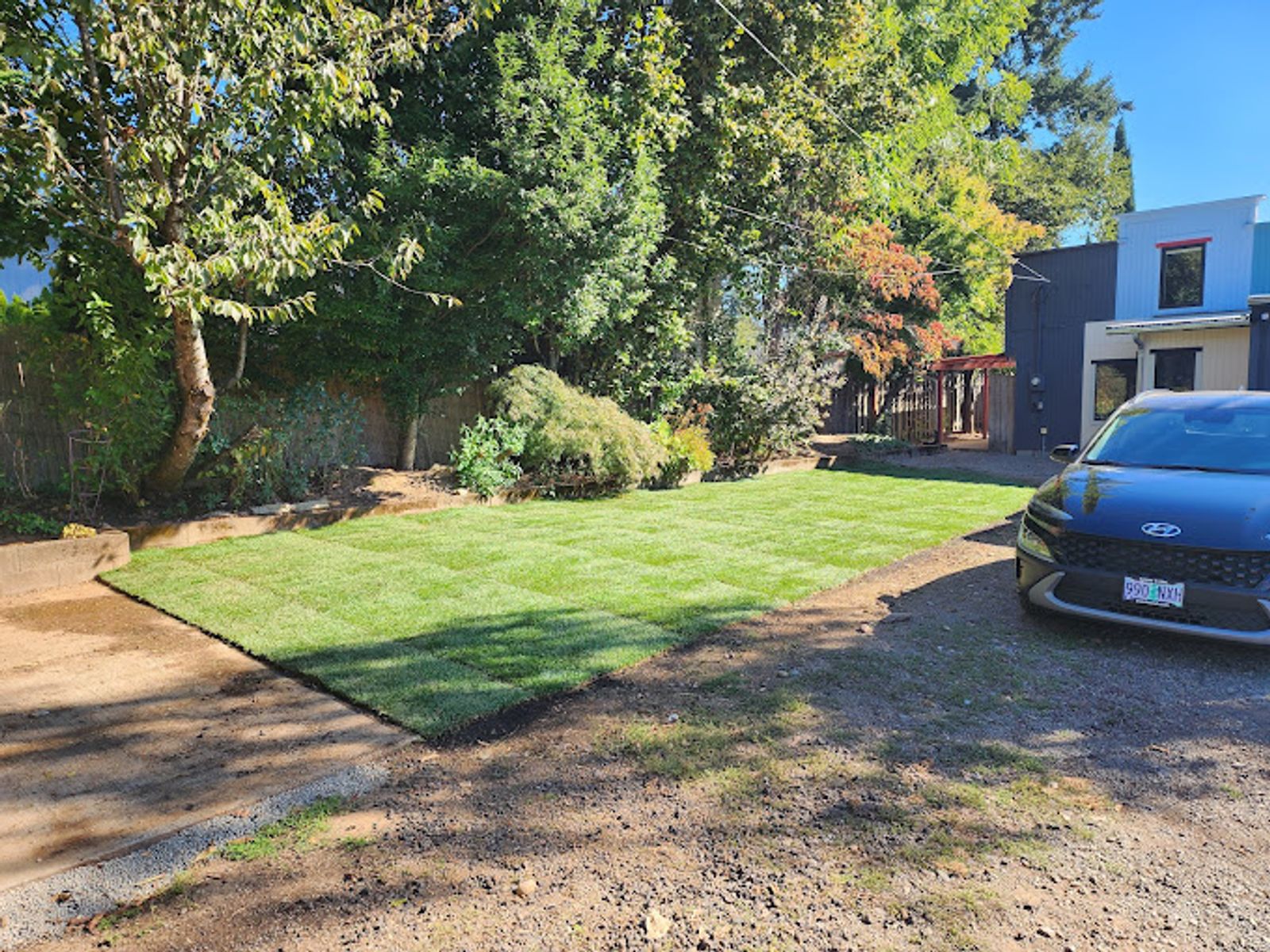 lawn care