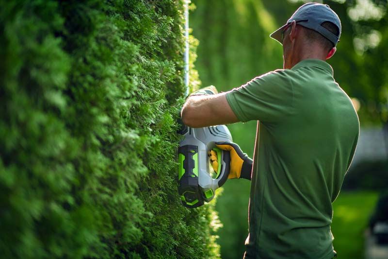 Hedge Trimming