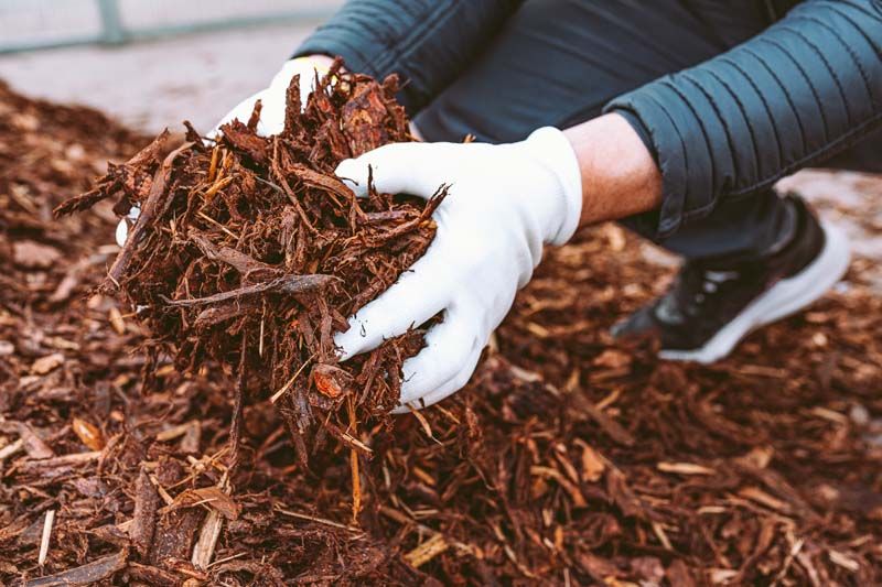 Mulch & Bark Application
