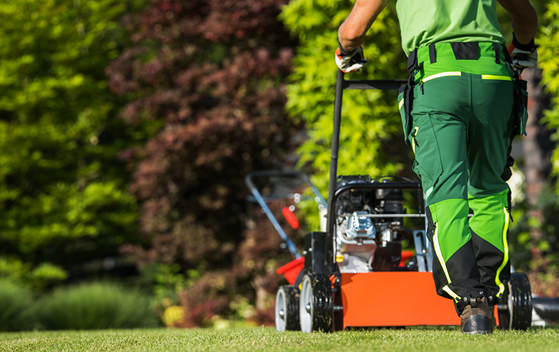 Lawn Care & Maintenance