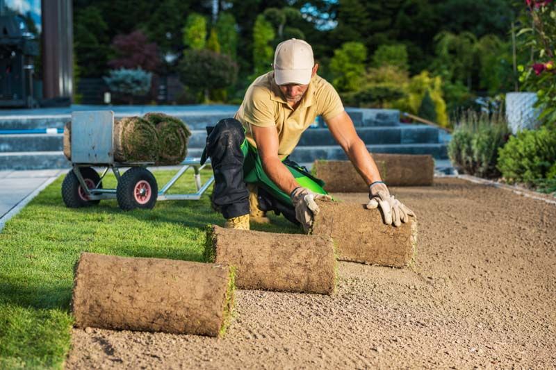 Sod Installation & Removal