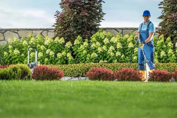 Seasonal Lawn Care Guide – How to Keep Your Grass Green Year-Round in Milwaukie