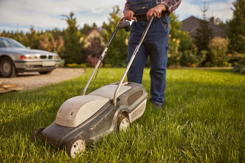 Lawn Mowing & Grass Cutting