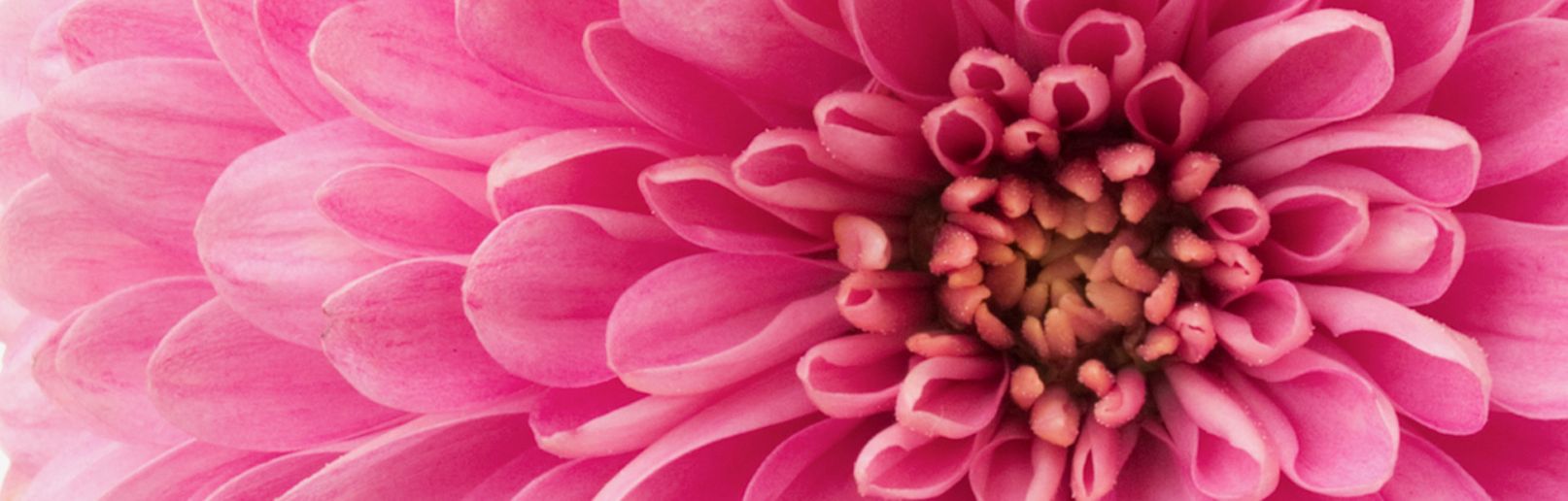 Petra Elmendorff Jin Shin Jyutsu & AstroMatrix