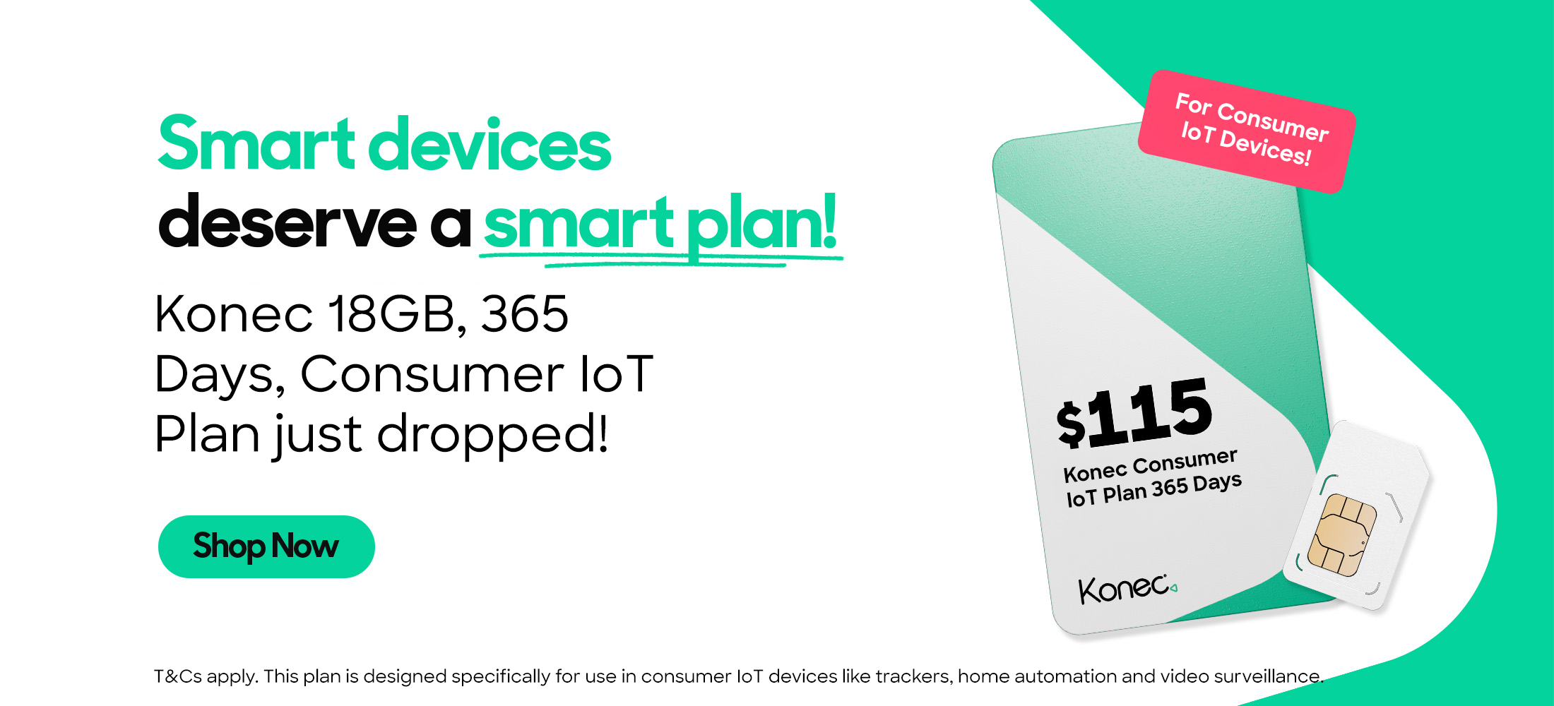 Konec 365 Day IoT Plan