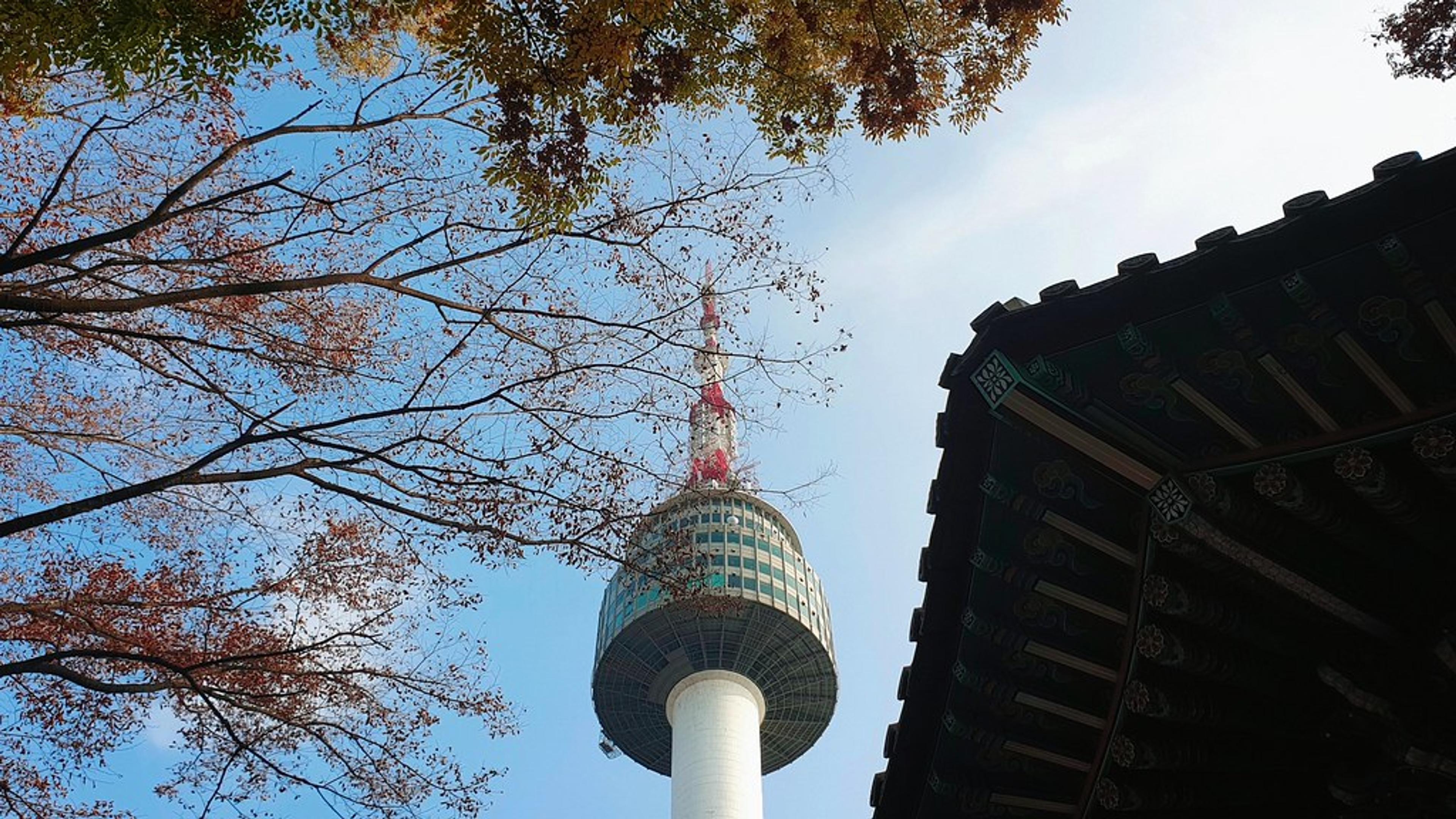韓文翻譯 APP 推薦 2025!韓國自由行必備工具完整評測,從機場到餐廳全搞定-不懂韓文也能玩遍韓國!精選 8 款最好用的韓文翻譯 APP,拍照、語音、即時對話一次搞定