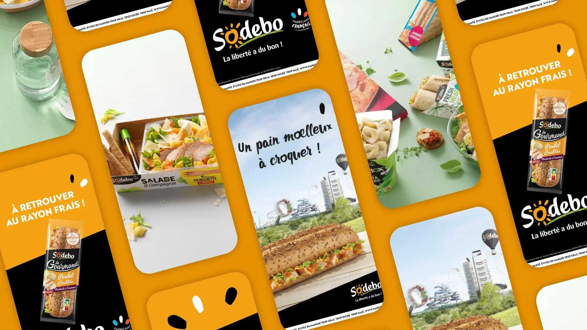 Canard WC et Sodebo - Campagne DOOH en motion design