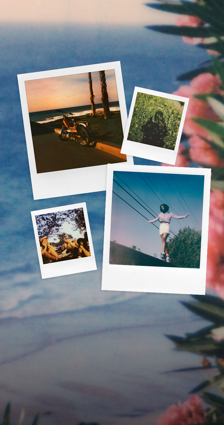 Polaroid Summer Banner