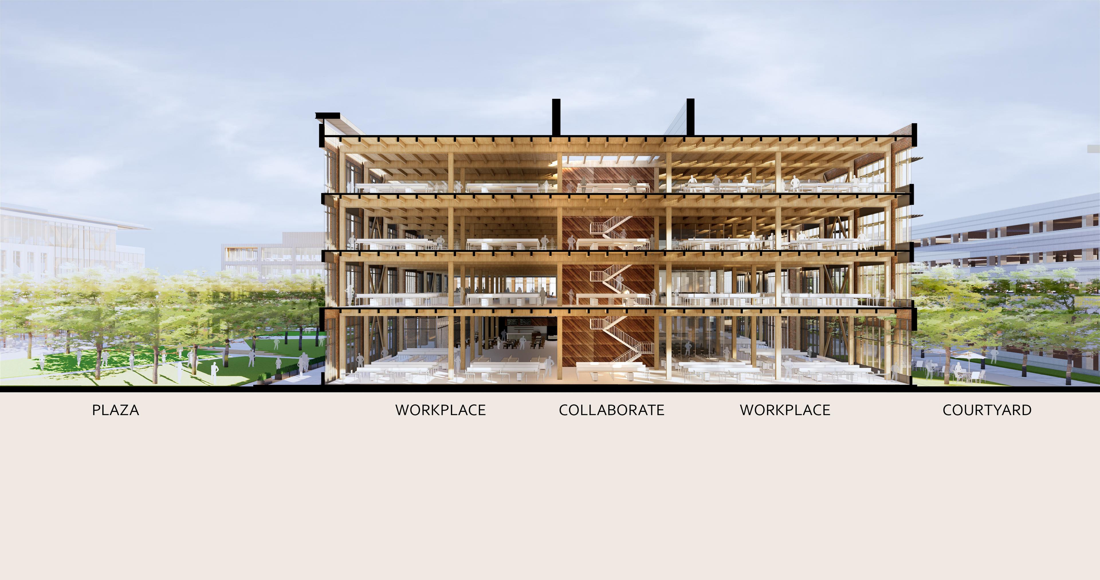 Mass Timber Systems