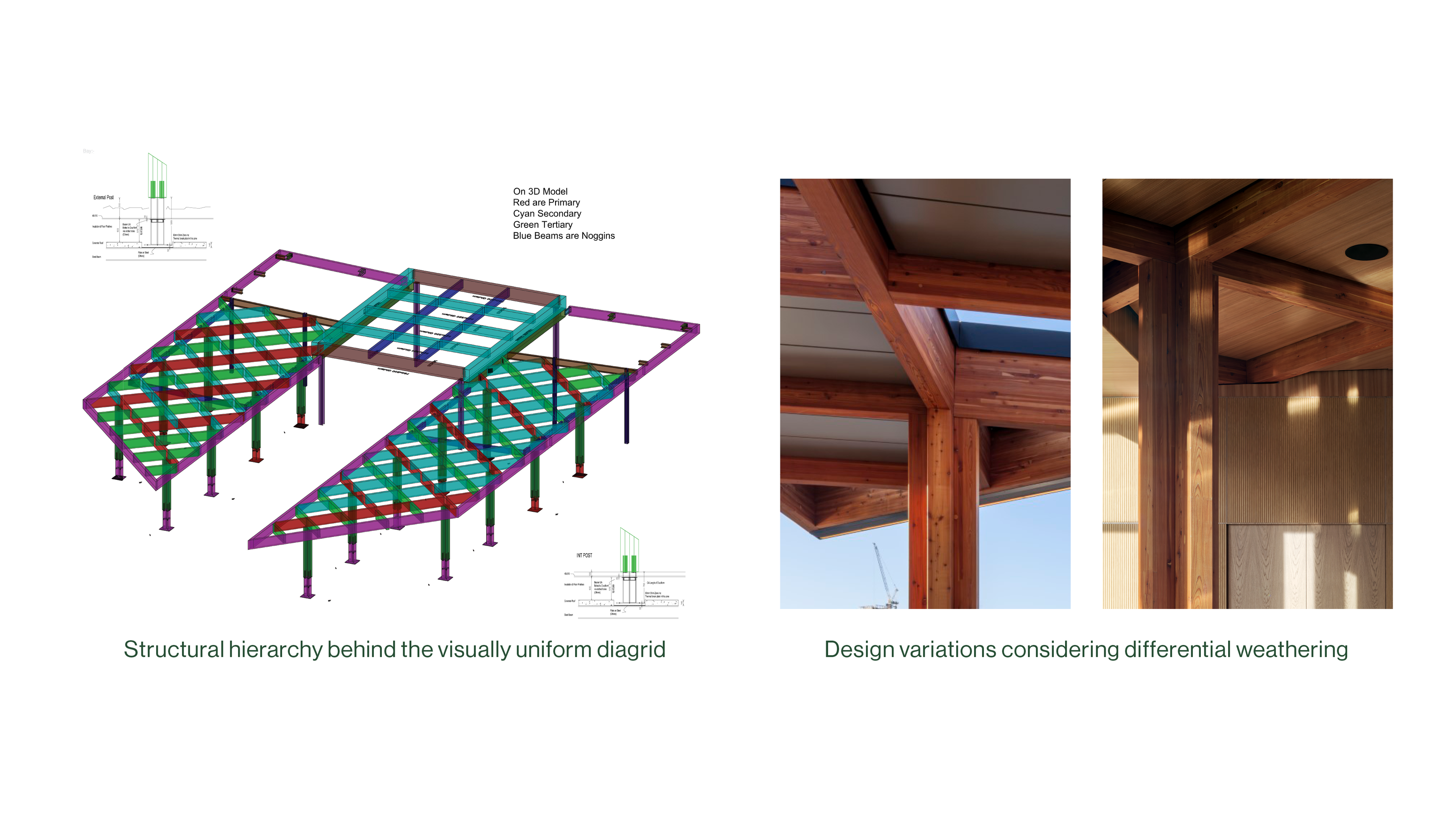 Mass Timber Innovation