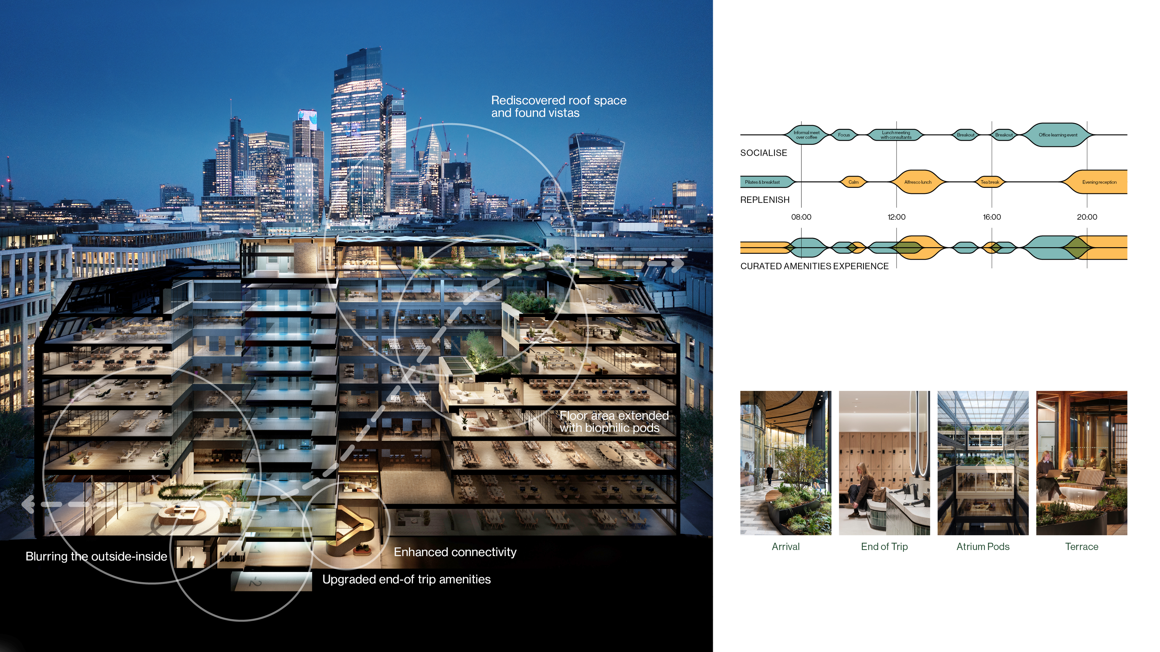 Curated Experiences