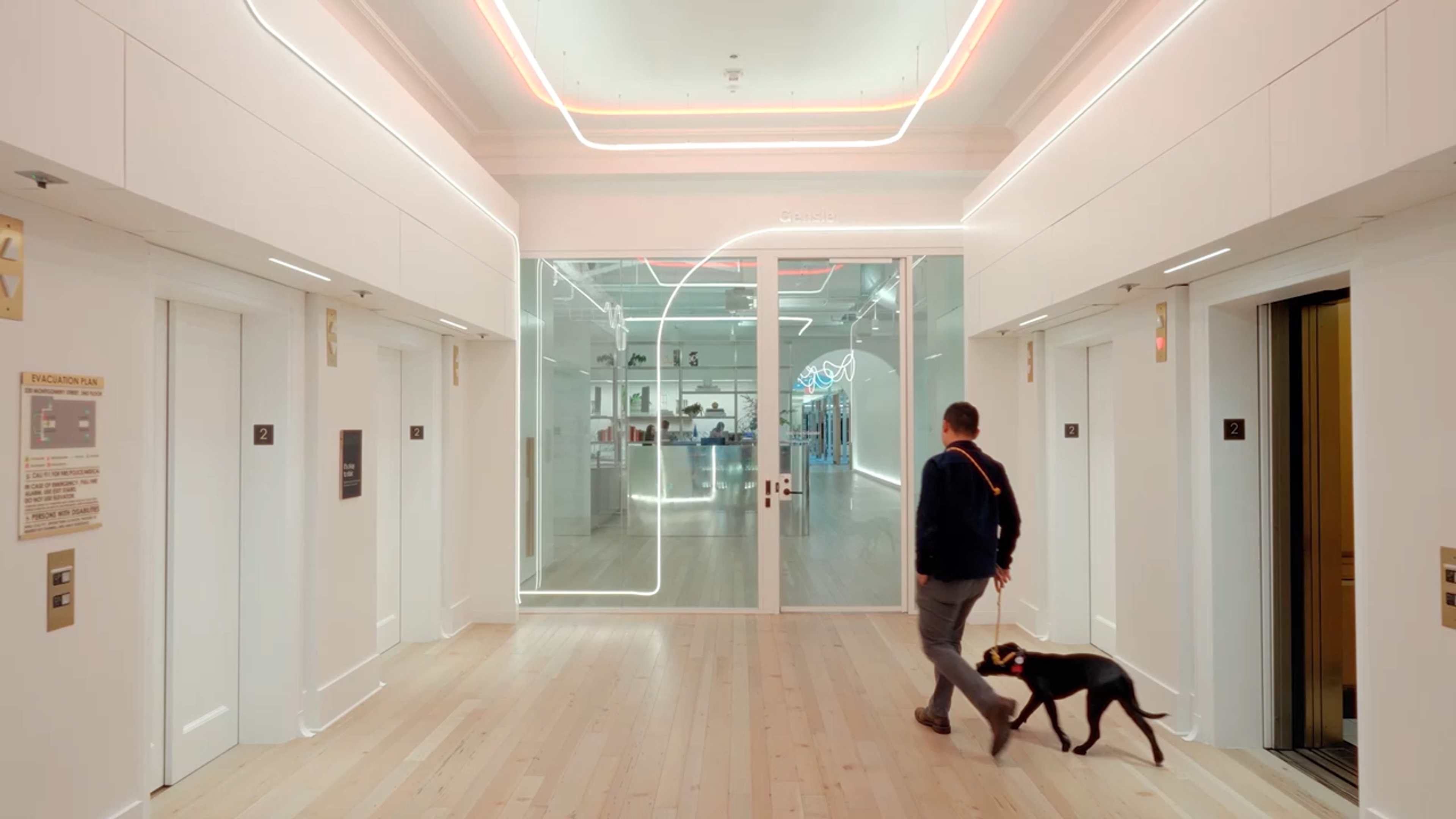 Gensler elevator bank office entrance with man and dog walking in
