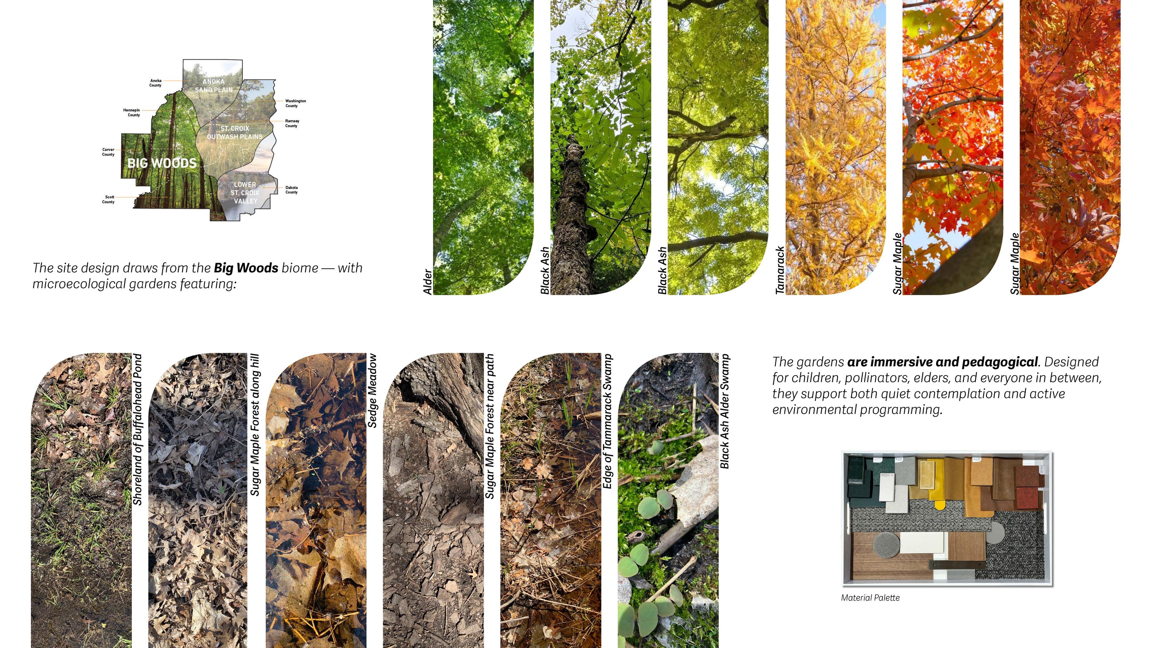 Integrated Ecosystem