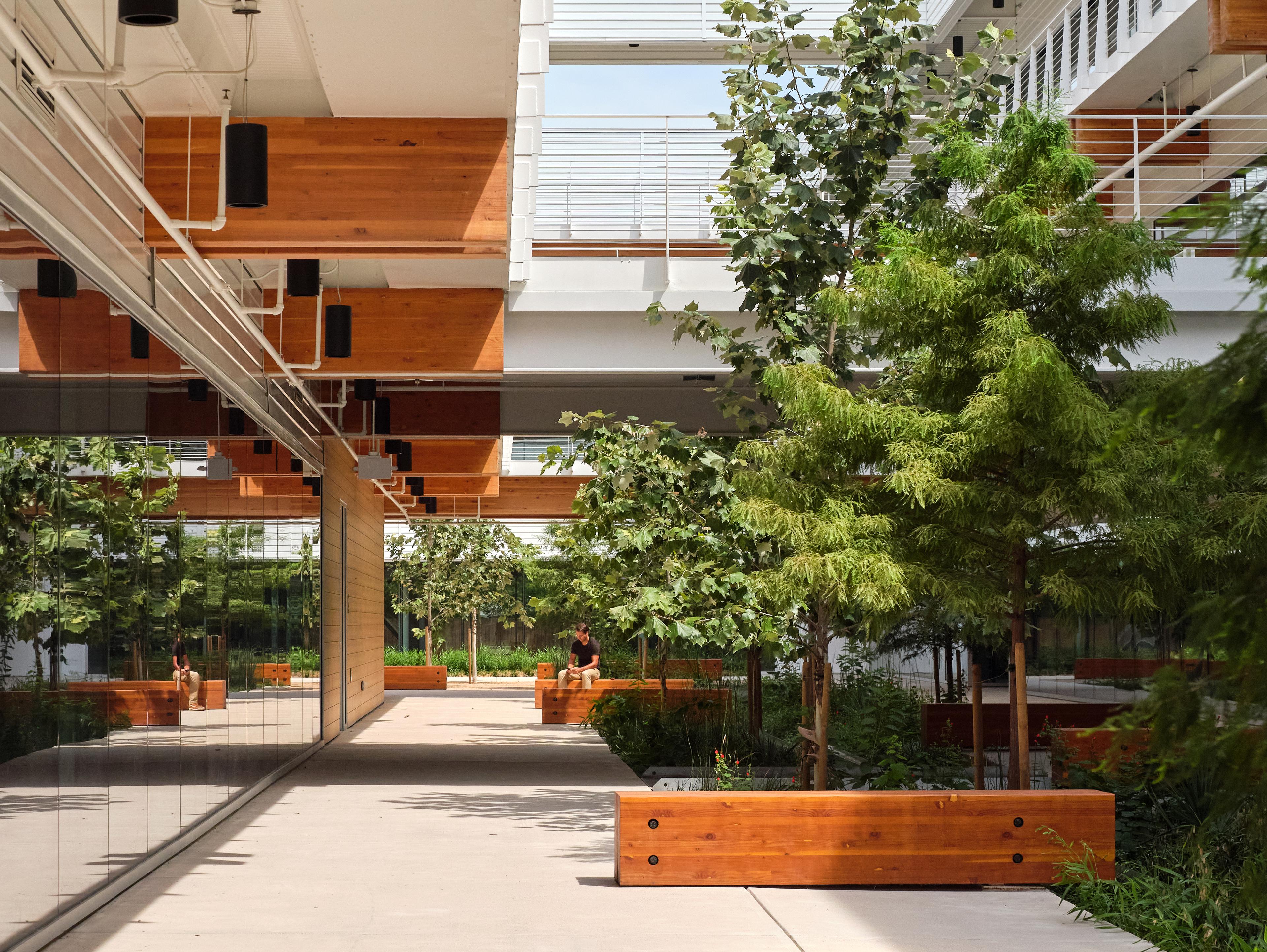 [NEEDS INPUT: alt text]