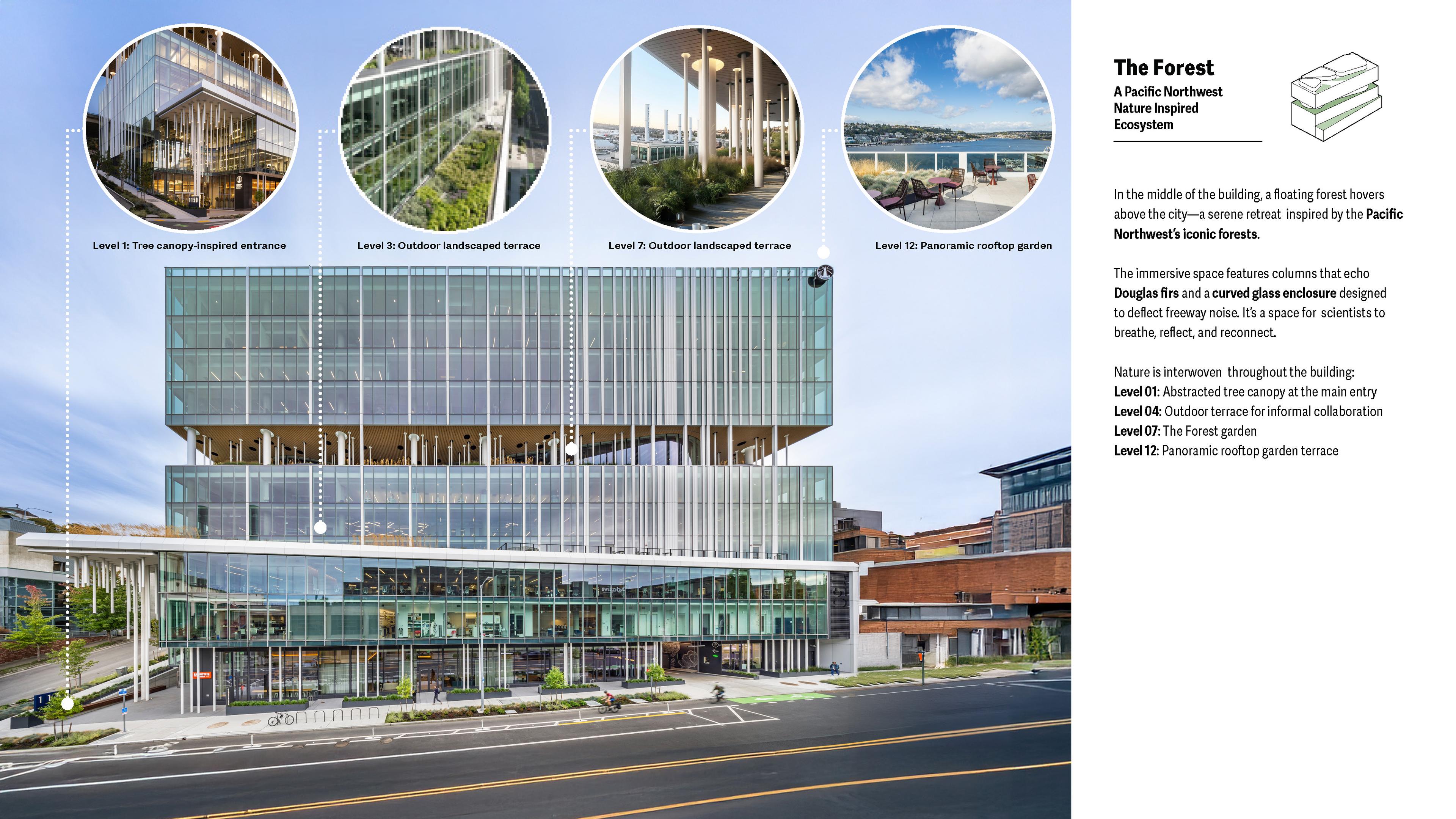 The Forest Idea: Urban Ecophilic Retreat
