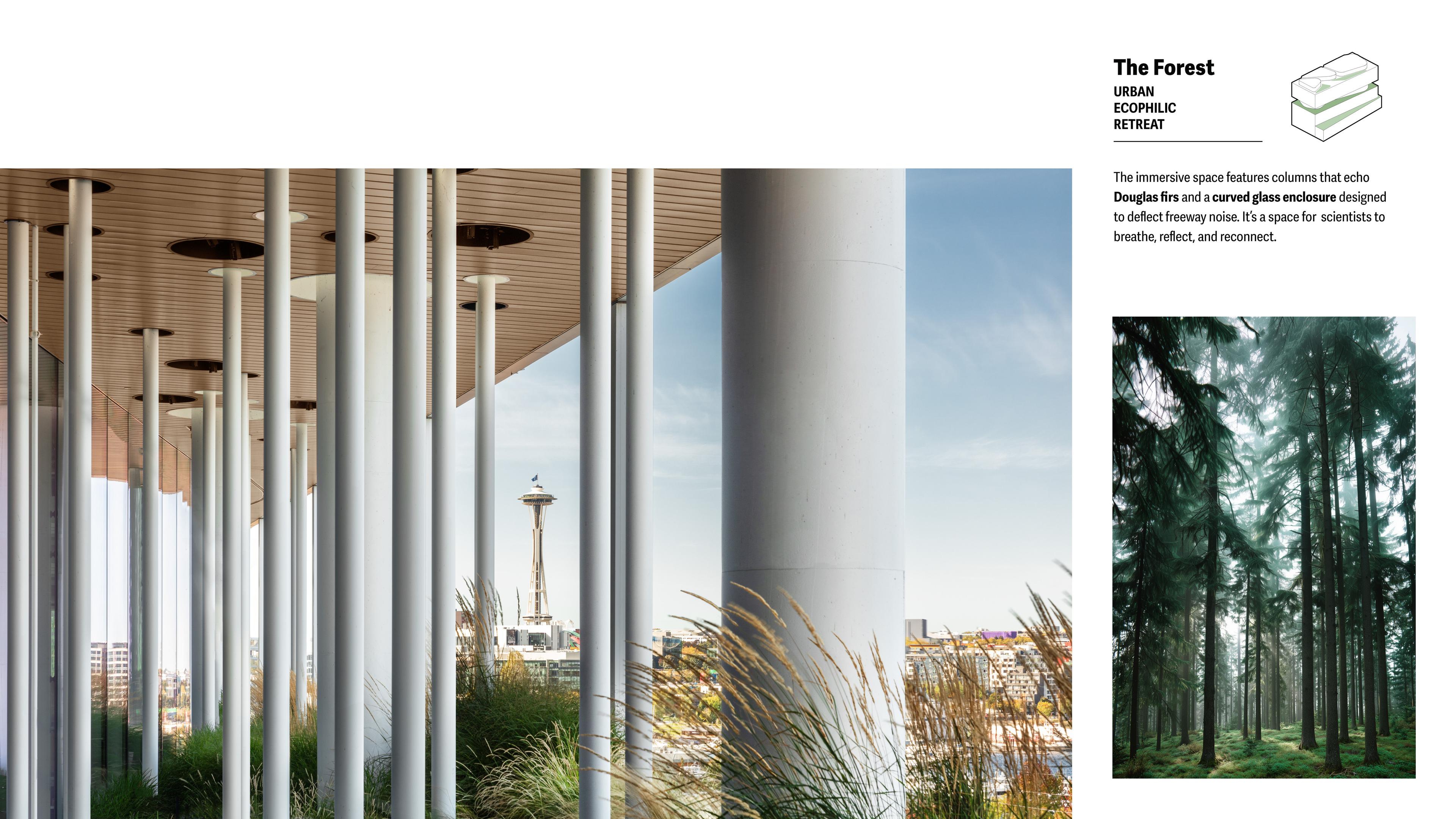 The Forest Idea: Forest Inspired Façade