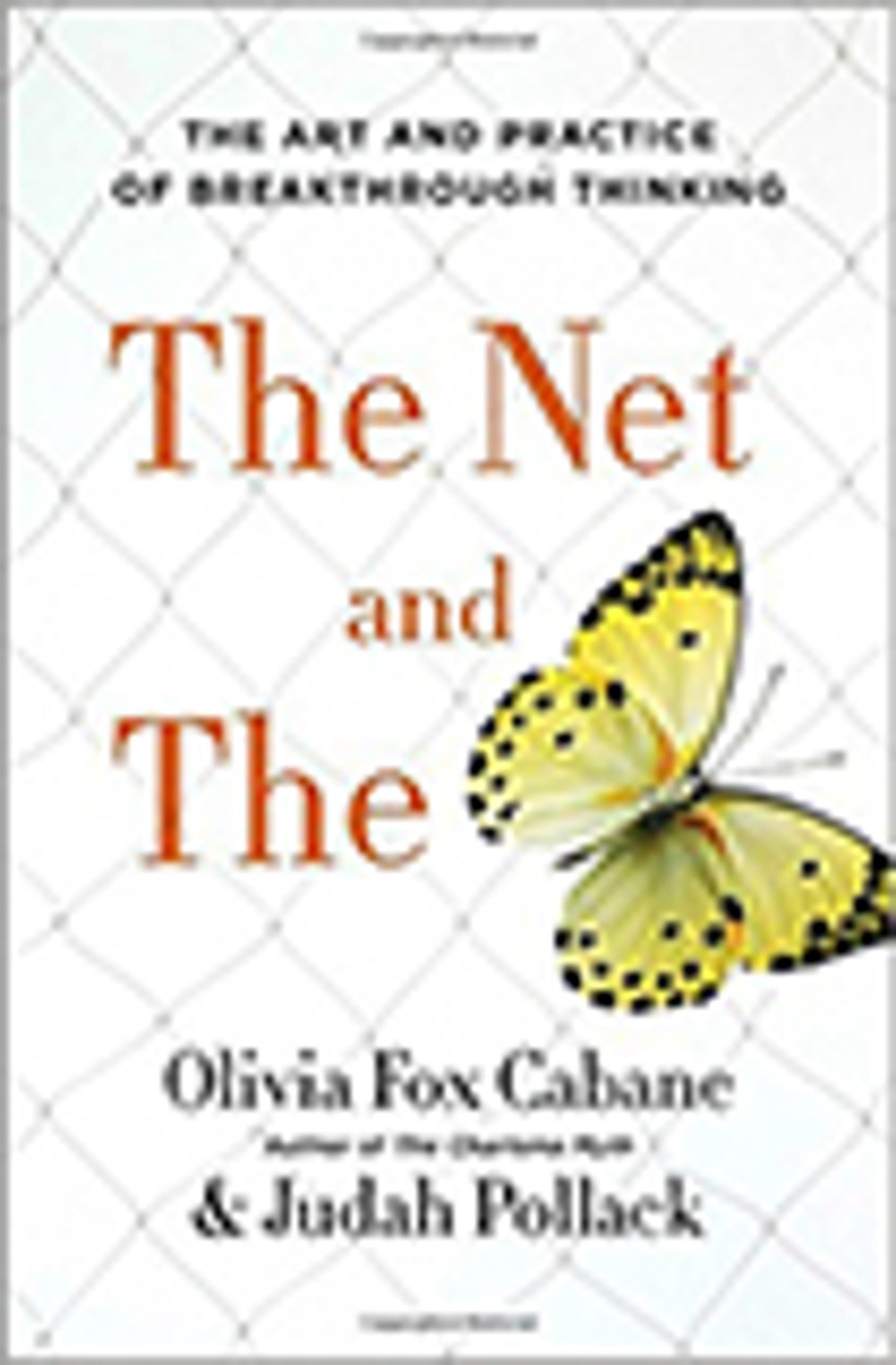 The Net and the Butterfly: The Art and Practice of Breakthrough Thinking