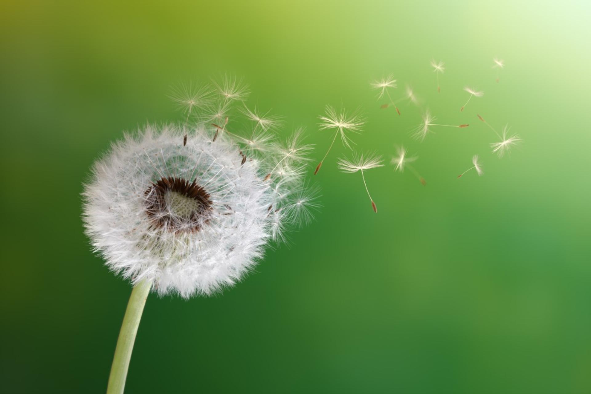 Day 2: Navigating Life’s Biggest Changes and Thriving in What Comes Next