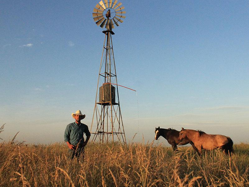 The Cowboy Way to Success