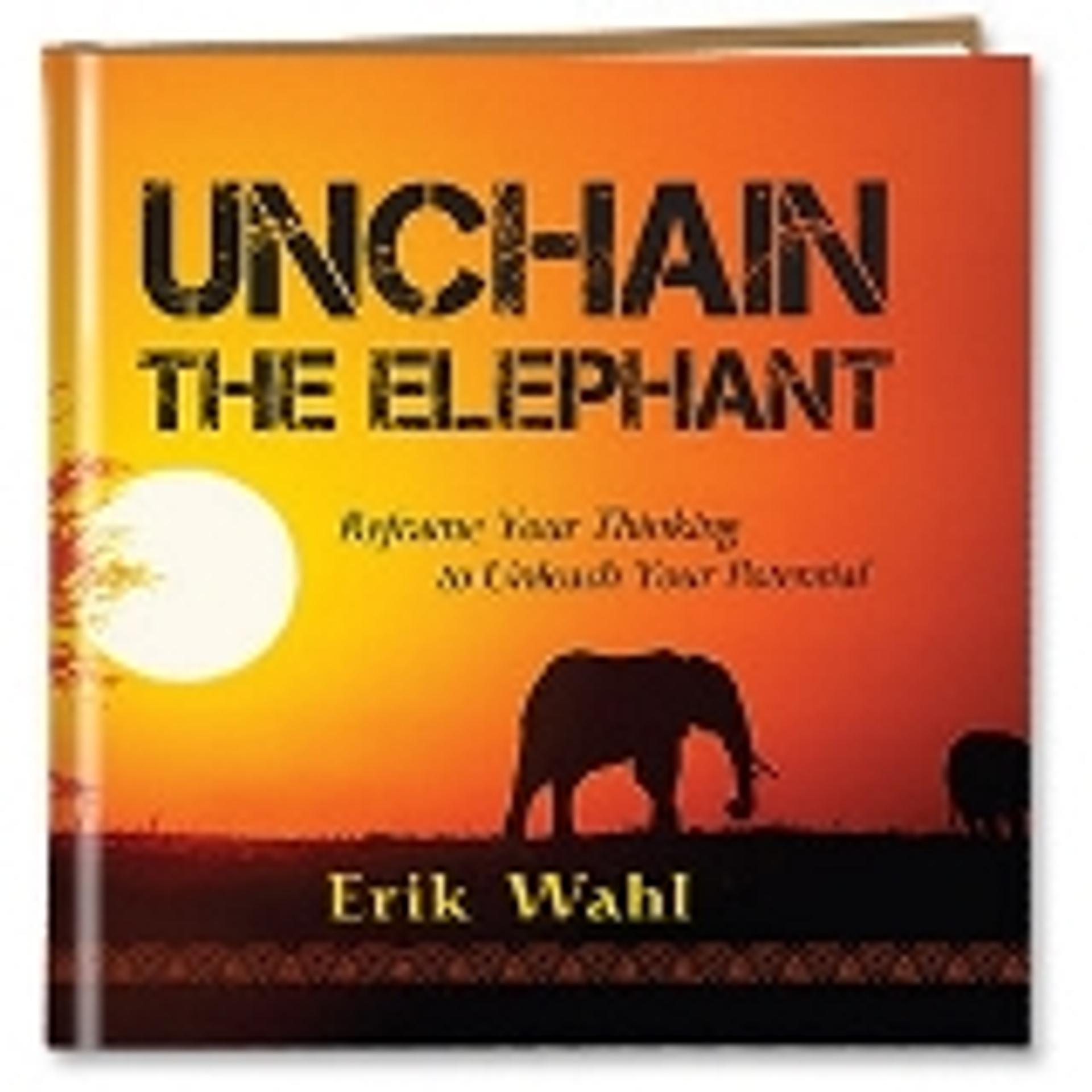 Unchain The Elephant