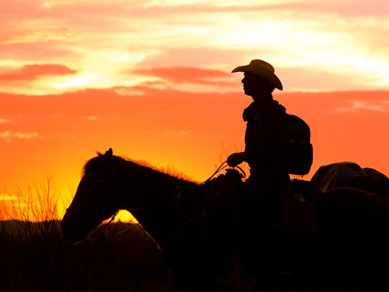 Bestselling author and adventurer Filipe Masetti Leite, the youngest person in the world to cross the Americas on horseback, shares the most significant steps he took on his Long Ride to success.