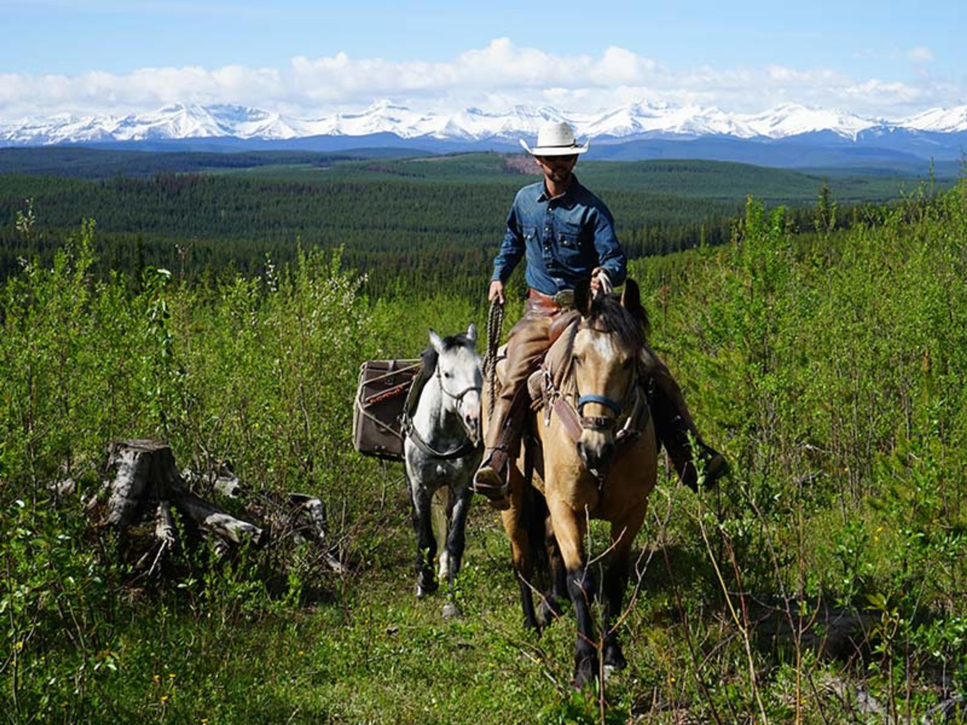 The Cowboy Way to Success