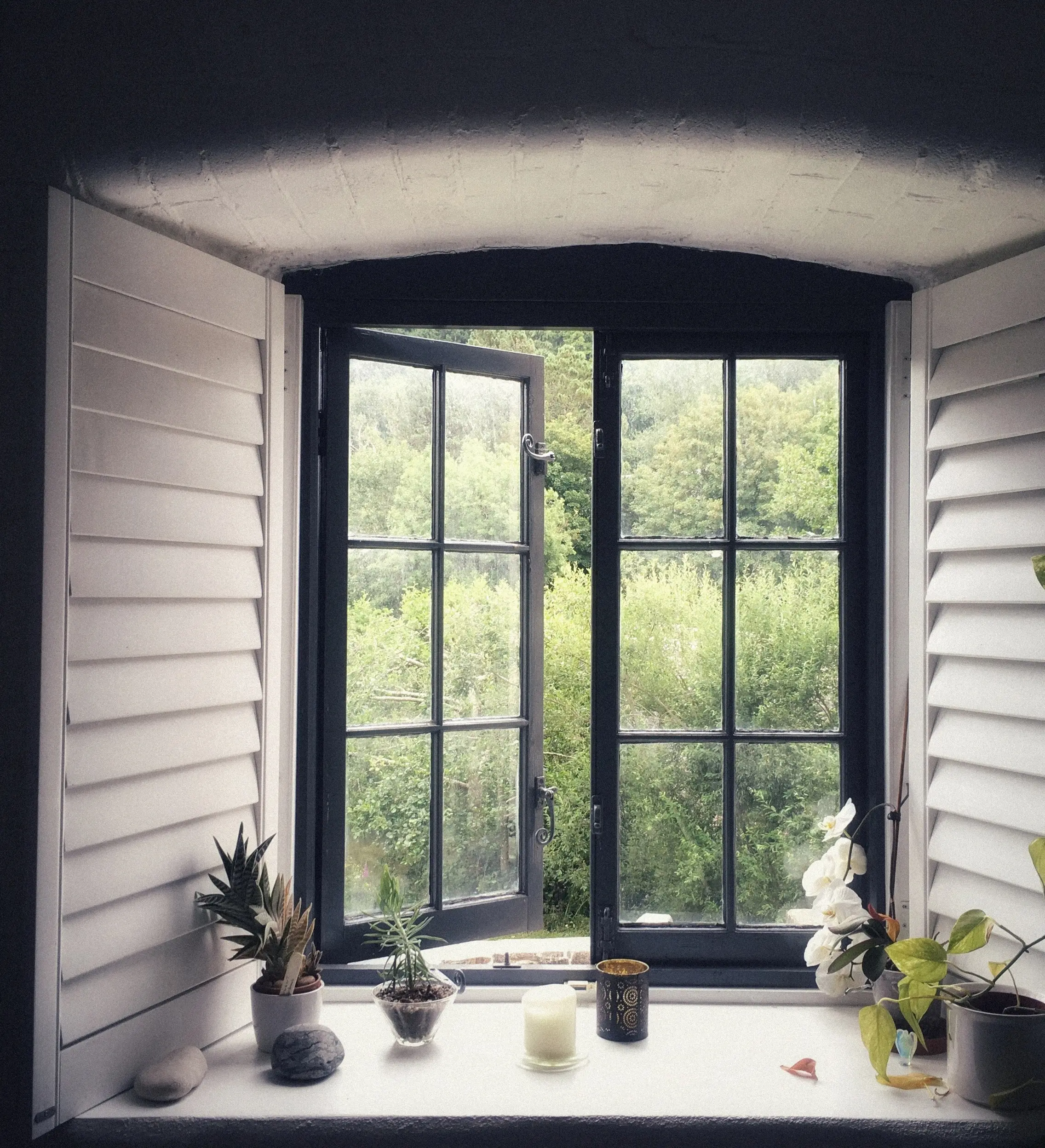 photo of Rob's open study window looking out on trees at The Mill
