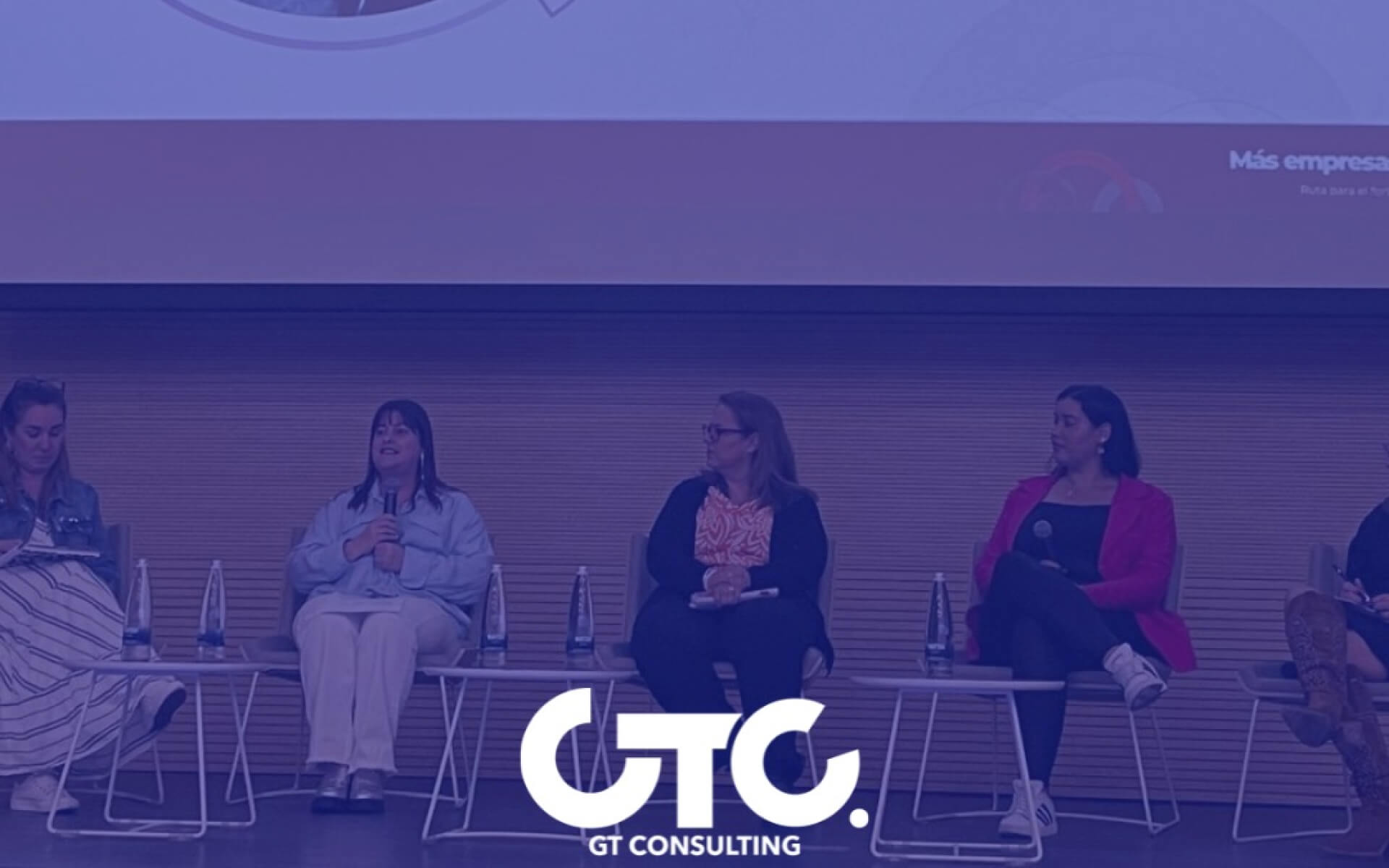 Project GT Consulting