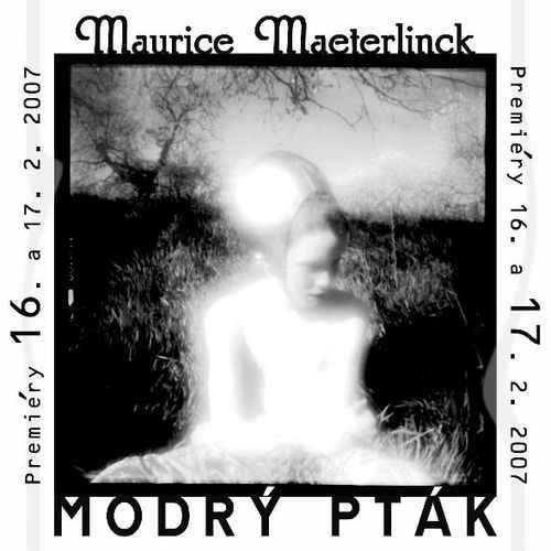 Plakát