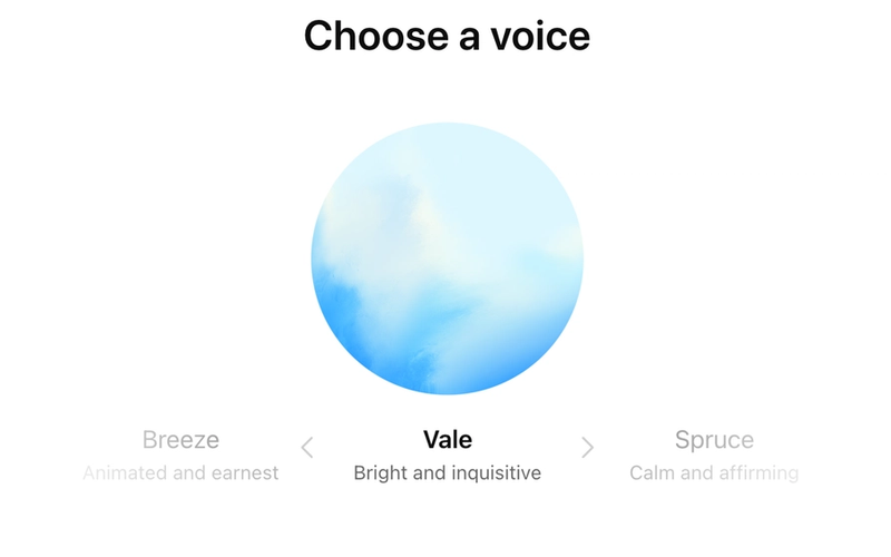 ChatGPT Advanced Voice Mode: The Feature Your Team Doesn't Know Exists
