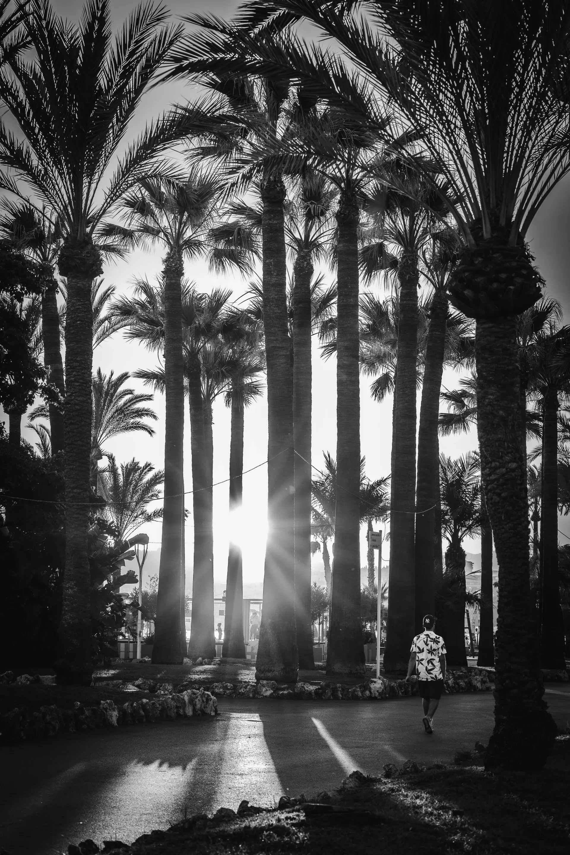 Cannes - Pointe Croisette