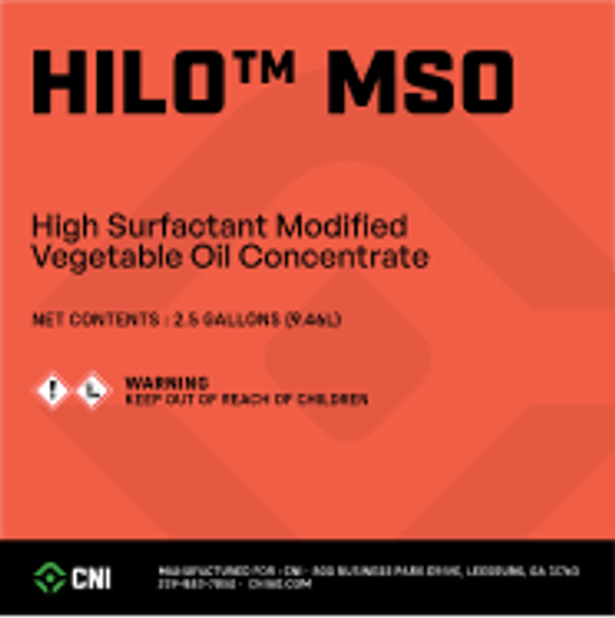 HiLo MSO