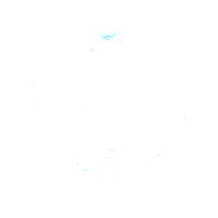 Effet du Bouclier réfléchissant
