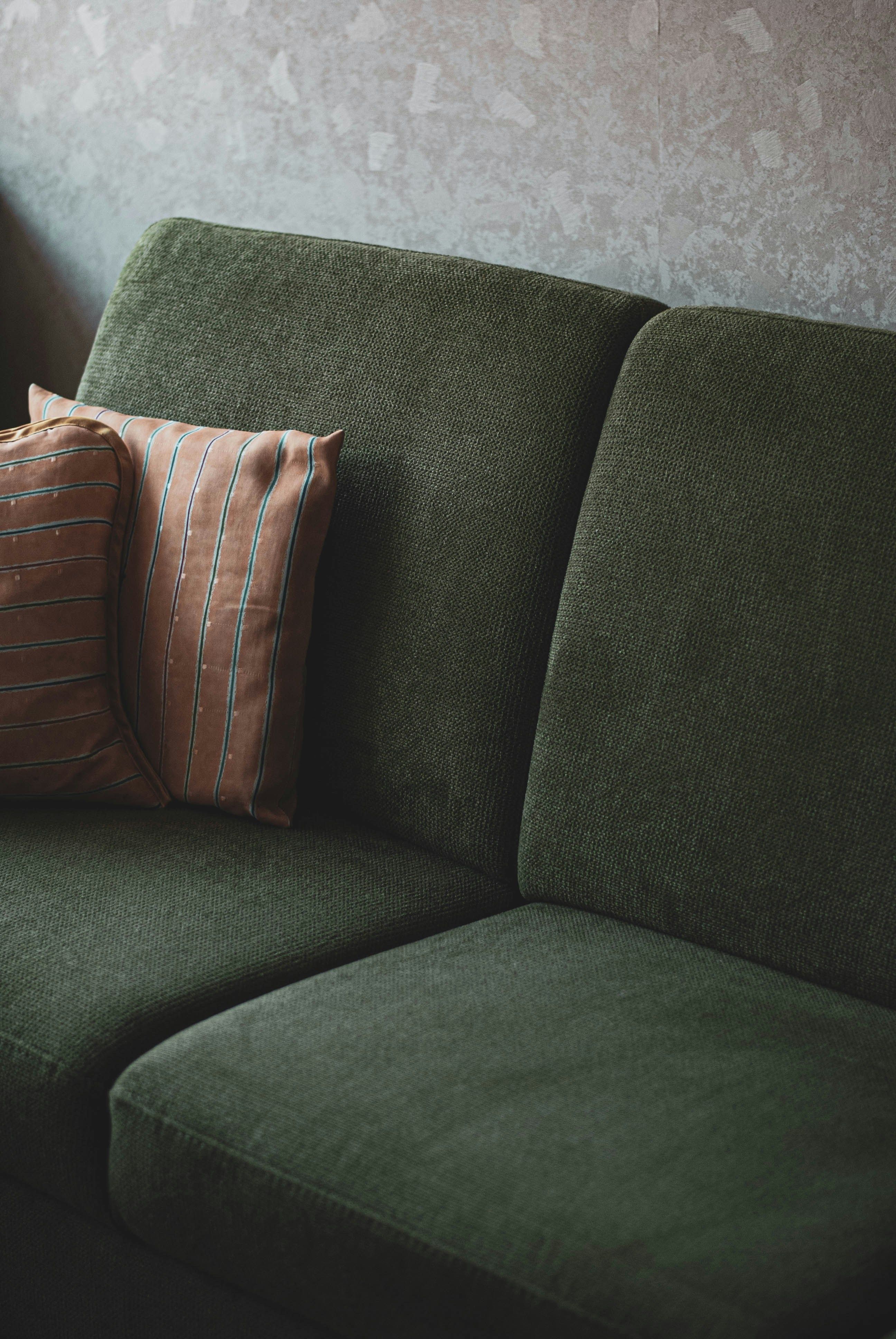 Image of a couch and 2 pillows