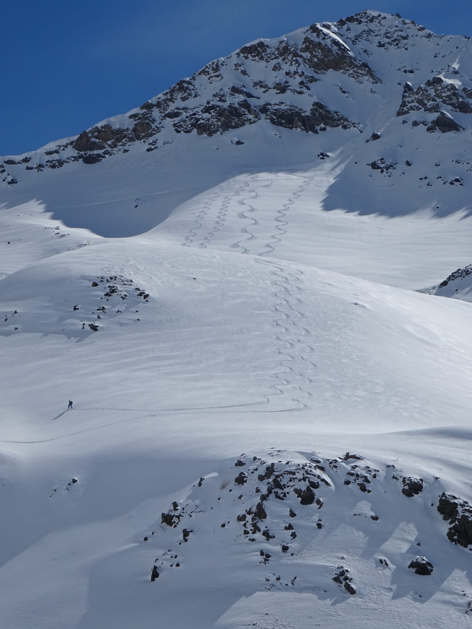 Descente dans la poudreuse avec guide en ski de rando dans les Alpes.