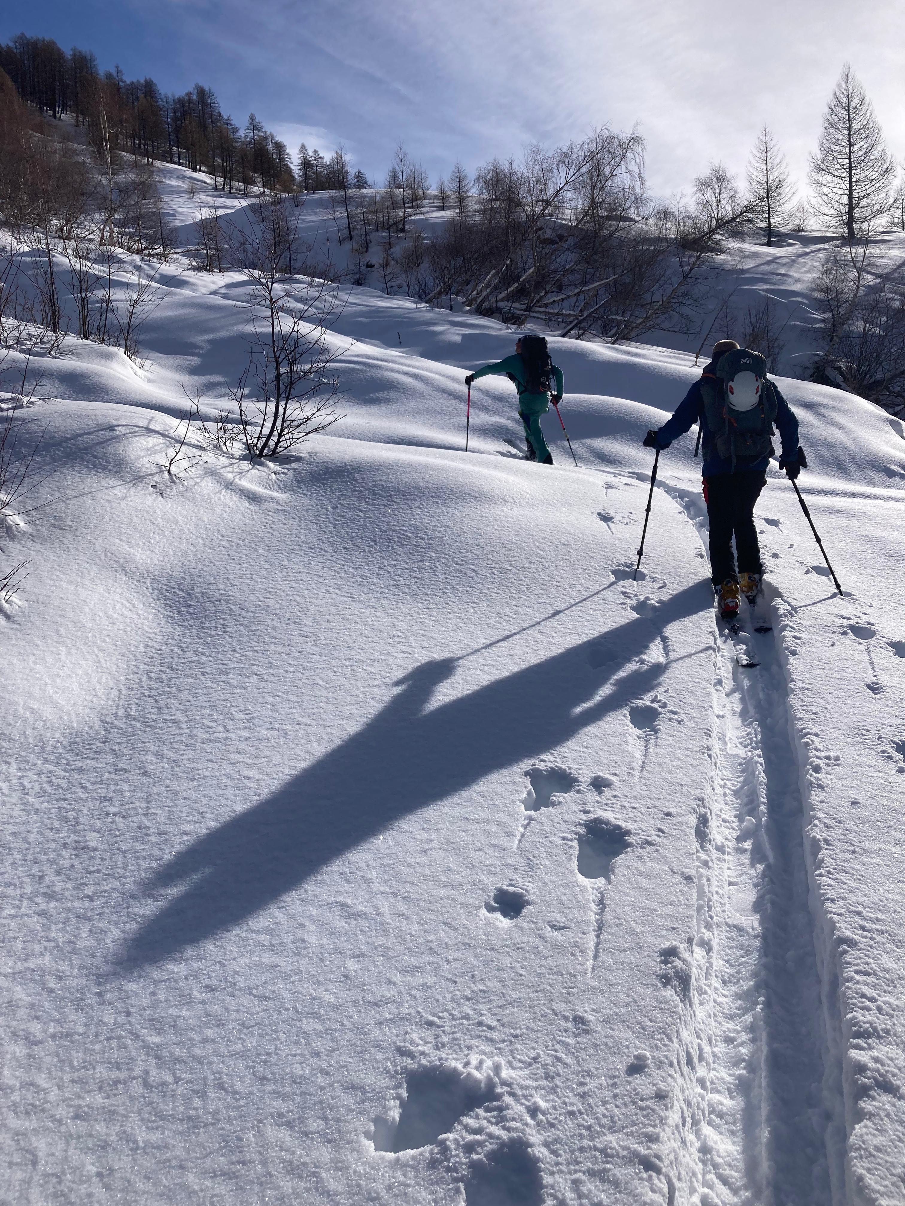 ski de randonnée dans la poudreuse quelque part dans les Hautes-Alpes.