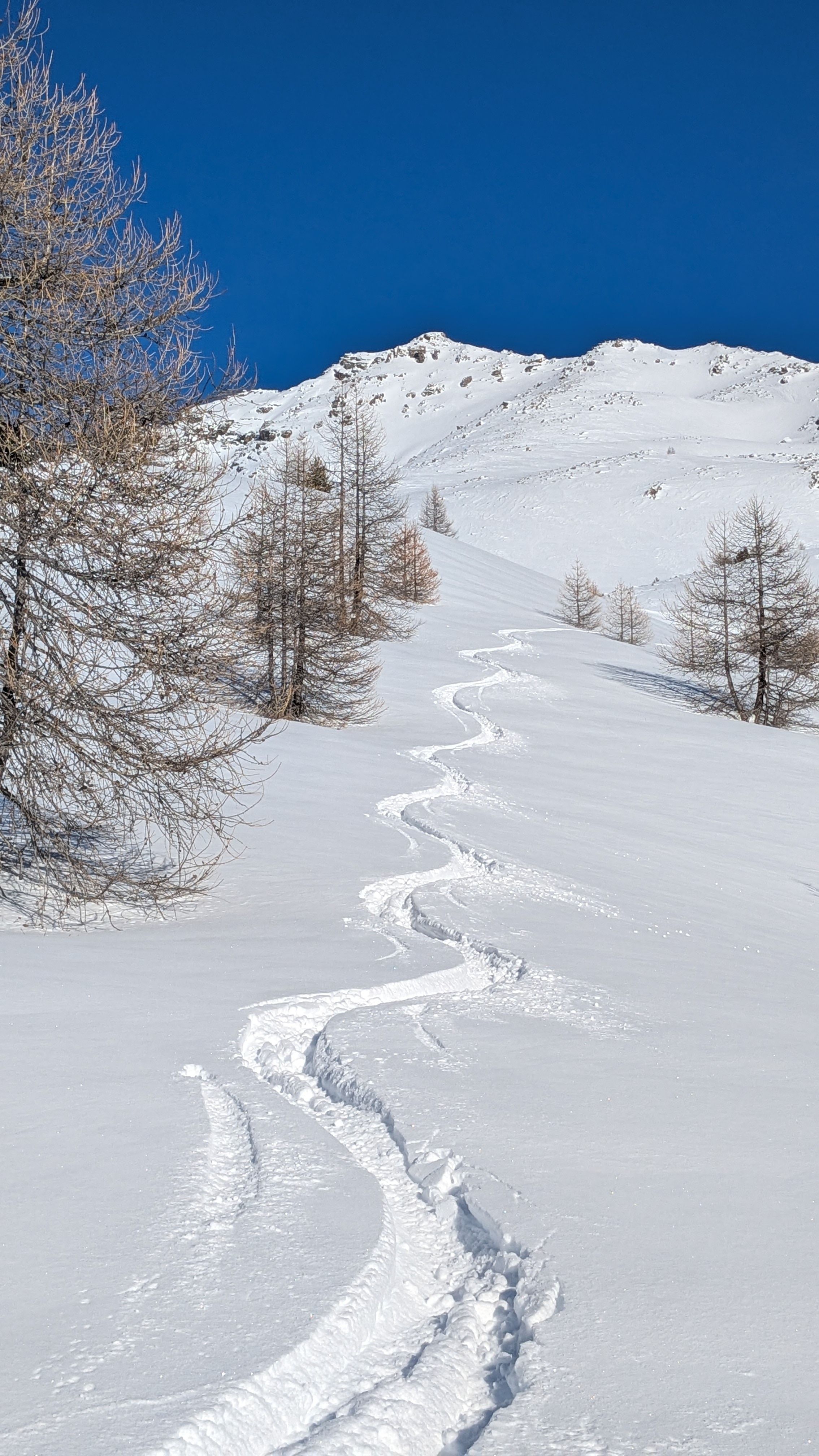 ski de rando dans le Queyras
