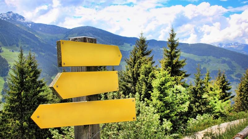 Gelbe Wegweiser vor Bergen und Nadelbäumen