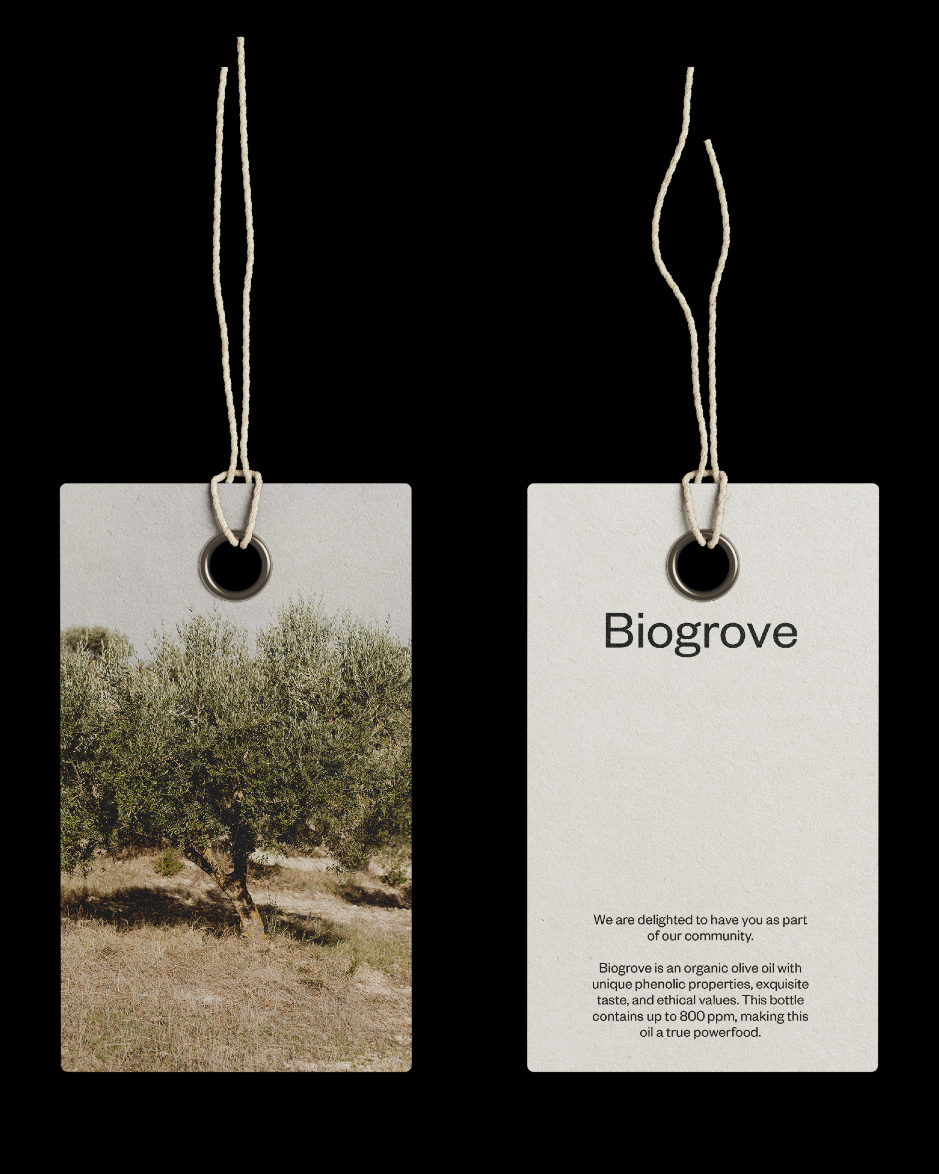 Crafting a Premium, Ethically-Driven Olive Oil Brand
