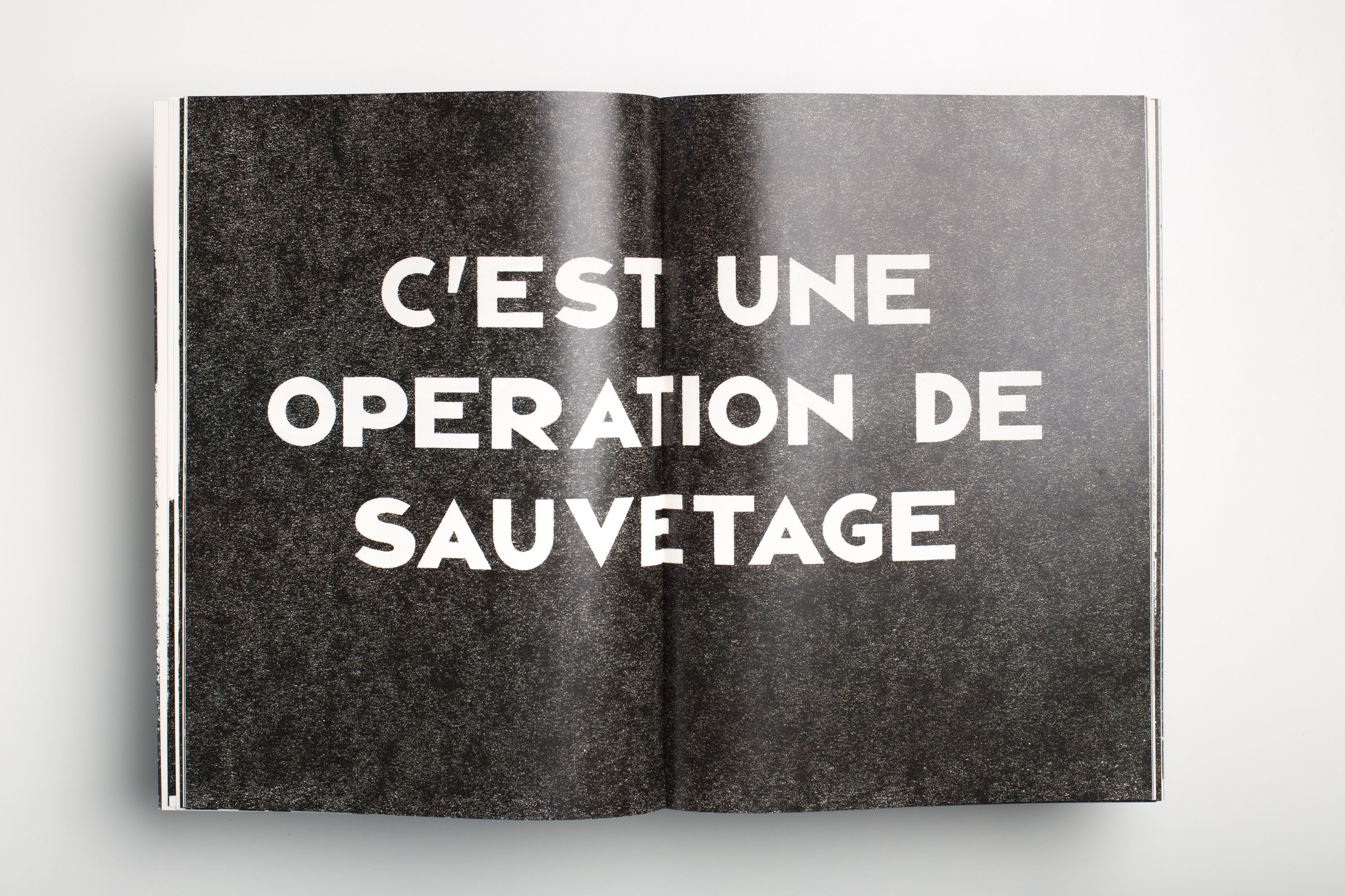 Rapport d'activité