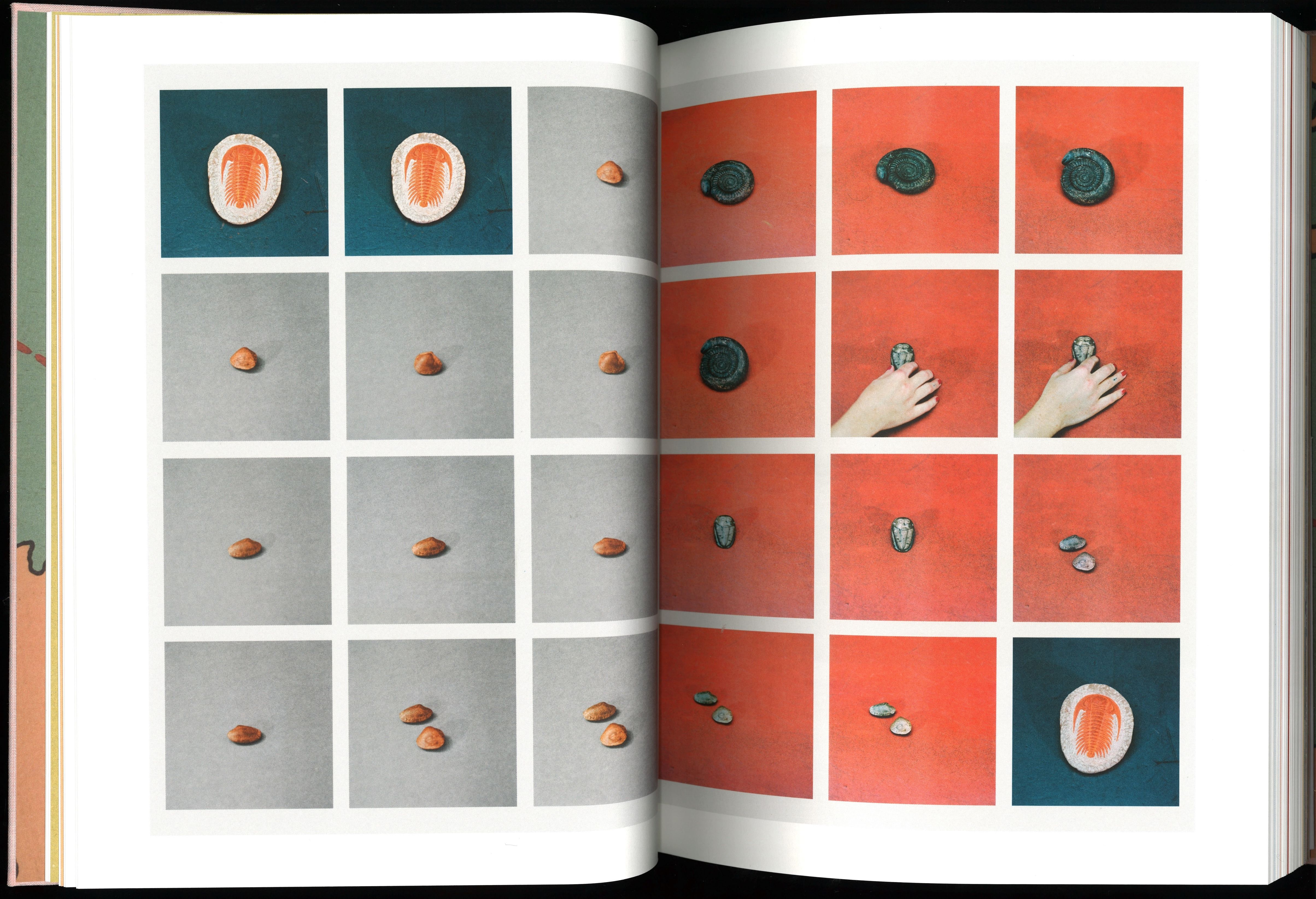 A Guide to Trees + A Guide to Fossils
